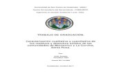 TRABAJO DE GRADUACIÓN: Caracterización cualitativa y …“N CUALITATI… · Universidad de San Carlos de Guatemala –USAC- Centro Universitario del Suroccidente –CUNSUROC- Ingeniería