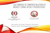 LAS CÁMARAS DE COMERCIO BILATERALES MÉXICO Y CHINA: …€¦ · • Embajada de la R.P. China en México • Ministerio de Comercio de China • Agencia para la Promoción de la