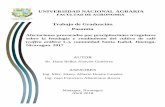 Trabajo de Graduación Pasantíarepositorio.una.edu.ni/3683/1/tnp40a321.pdf · 2018-06-22 · La Unión de Cooperativas Agropecuarias UCA SOPPEXCCA R.L es una organización que surge