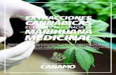 EXTRACCIONES CANNÁBICAS - Revista Cañamo Chilesus variadas cualidades y porque no posee el efec-to psicoactivo del THC y se puede consumir de dis- ... La tintura de marihuana se