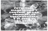 PATOLOGÍA, DIAGNÓSTICO Y CONTROL DE LAS PRINCIPALES ENFERMEDADES Y PLAGAS DE · 2020-03-12 · PATOLOGÍA, DIAGNÓSTICO Y CONTROL DE LAS PRINCIPALES ENFERMEDADES Y PLAGAS DE LAS