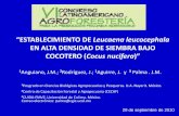 “ESTABLECIMIENTO DE Leucaena leucocephala EN … de agroforesteria...Densidad de siembra de leucanea - Densidad de 30 –60 mil plantas/ha de Leucaena leucocephala + Cynodon plectostachyus
