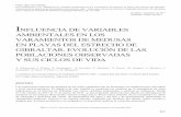 INFLUENCIA DE VARIABLES AMBIENTALES EN LOS VARAMIENTOS DE MEDUSAS …institutoecg.es/wp-content/uploads/2019/03/Almoraima49-227-250.pdf · Las explosiones masivas de medusas en las
