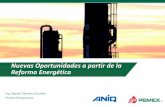Nuevas Oportunidades a partir de la Reforma Energética Manuel Sanches.pdf · La apertura de la petroquímica básica traerá consigo un incremento en la oferta de materia prima.