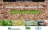 EN LA PRODUCCIÓN DEBuenas prácticas agrícolas (BPa) en la producción de fríjol voluble Época de siembra 58 Selección de la variedad 59 Métodos de siembra 59 Manejo de suelos