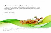 RESUMEN EJECUTIVO Caramelos Biosaludables · 2017-07-26 · Los costos sanitarios de las enfermedades respiratorias e infecciones gastrointestinales constituyen una carga cada vez
