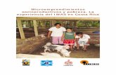 Los microemprendimientos socioproductivos en Costa Rica. La … · 2012-09-06 · Los microemprendimientos socioproductivos en Costa Rica. La experiencia del IMAS 2 La investigación