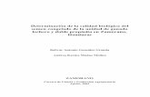 Determinacion de la calidad biologica del semen congelado ...bdigital.zamorano.edu/bitstream/11036/2203/1/CPA-2002-T057.pdf · A mis padres, Bolívar González Sotomayor y Albita