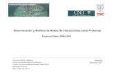 Determinación y Análisis de Redes de Interacciones entre ...pdg.cnb.csic.es/pazos/cursos/Pamplona_Sep2010_ppint.pdf · Determinación y análisis de redes de interacciones entre