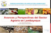 Avances y Perspectivas del Sector Agrario en Lambayeque · productores agrarios organizados bajo el enfoque de cadenas agro productivas en cultivos y en crianzas con inocuidad y calidad
