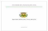 MUNICIPIO DE TOA BAJA · Informe de Transición 2016 Municipio de Toa Baja 5 CAPÍTULO I Organización El Municipio de Toa Baja es una entidad del Gobierno del Estado Libre Asociado