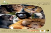 Programa VI Curso de Primatología Conservación Y Cognición ... · Profesor de Paleontología del Dpto. de Geología de la Universidad de Alcalá. Coordinador del Área de Evolución