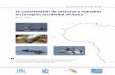 La conservación de cetáceos y manatíes...sobre la biología de las ballenas y los delfines y la necesidad de protegerlos. El proyecto MEER ... sobre los cetáceos a estudiantes