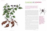 DIVERSIDAD PLANTAS VS VENENOrespalden, gran parte de la población rural recurre a ellos. Los totonacos de Papantla utilizan las raíces hervidas del camote dulce (Ipomoea sp.) o del