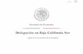 Delegación en Baja California Sur - imcpbcs.org.mximcpbcs.org.mx/wp-content/uploads/2016/10/...Órgano Supremo de la Sociedad • Todo los accionistas tendrán voz y voto. • Las