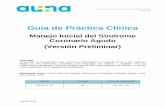 Guía de Práctica Clínica Síndrome... · 2019-06-28 · GA.DC.G.16 Manejo Inicial del Síndrome Coronario Agudo (Versión Preliminar) GRUPO ELABORADOR DE LA GUÍA EXPERTOS TEMÁTICOS
