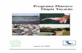 Programa Maestro Tilapia Yucatán · 6 Producción de la acuacultura en toneladas durante 2003, por principales especies 19 7 Producción nacional anual de tilapia por regiones, 1992