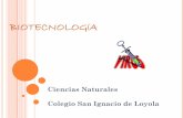 BIOTECNOLOGÍA - Biología 10 y 11 Grado Colegio San Ignaciomariagonzalezu.weebly.com/uploads/6/3/2/2/6322285/... · agenes5/ingenieria.swf Métodos directos para alterar el ... APLICACIONES