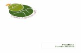 Medina Cundinamarca - Agronetbibliotecadigital.agronet.gov.co/bitstream/11438/8055/1... · 2016-01-08 · El Ministerio de Agricultura y Desarrollo Rural – MADR y la Unión Temporal