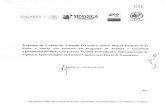 FOLIO 00106 PROGRAMA DE TRABAJO CONTRA …...Fuentede la información OEIDRUS del Estado de Guanajuato () El trampeo preventivo contra las moscas exóticas de la fruta en el estado