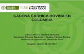 CADENA CÁRNICA BOVINA EN COLOMBIA · 2019-05-13 · las ganancias diarias de peso, madurez sexual a mas temprana edad, registro y manejo de la información trazabilidad. •Protección