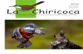 ISSN 0718 476X La Chiricoca · 2018-03-15 · terrestres del país. De estas especies muchas son endémicas (un 77% de las especies de esta zona vive sólo en Chile) y presentan distribuciones