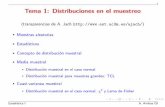 Tema 1: Distribuciones en el muestreohalweb.uc3m.es/esp/Personal/personas/aarribas/esp/docs/... · 2008-10-03 · Para cada muestra particular calculamos el mismo estad stico muestral