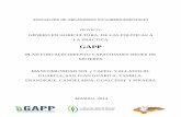 GAPP · 2017-06-12 · 3 Metodología de Proceso de Elaboración La metodología del proceso de elaboración o identificación de los temas a capacitar a la red de mujeres una parte
