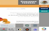 Diagnóstico y Tratamiento de la F C E INFERIOR DEL …evaluacion.ssm.gob.mx/pdf/gpc/eyr/IMSS-534-11.pdfIMSS Puebla, Puebla Validación Interna: Dr. José Luis Aquino Mondragón Médico
