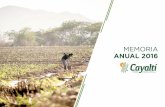 MEMORIA ANUAL 2016 - Cayaltícayalti.com.pe/.../docs/memoria_anual_cayalti_2016.pdf · 2019-03-20 · 10 Memoria Anual 2016 / Empresa Agroindustrial Cayaltí S.A.A. 1.2 Constitución