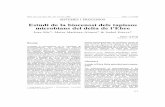 Estudi de la biocenosi dels tapissos microbians del delta de l’Ebre · Estudi de la biocenosi dels tapissos microbians del delta de l’Ebre Joan Mir*, Maira Martínez-Alonso* &