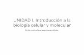 UNIDAD I. Introducción a la biología celular y molecularpeces.ens.uabc.mx/bcym/clases/pdf/I-b-mol-cel.pdfen entidades separadas del medio por membranas (protocélulas) y siguieron
