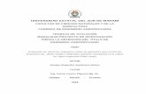 UNIVERSIDAD ESTATAL DEL SUR DE MANABÍrepositorio.unesum.edu.ec/bitstream/53000/1274/1/UNESUM... · 2018-05-18 · spaciosa (mariquita) en el cultivo de Vigna ungiculata (fréjol