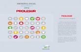 Annual Report 2013 - Prolesur...In this mixed market context, Prolesur’s total sales revenue was CLP$ 126.542 million, up 12.7 per cent on the prior year, while the cost of sales