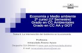 Economía y Medio ambiente 2º curso (1º Semestre) …inmaculadaalvarez.net/wp-content/uploads/2020/03/Tema6.pdfEn España, ademas, los sectores mas subsidiados son paradojicamente