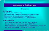 Antígenos y Anticuerpos Sumario Antígenosfiles.sld.cu/patologiaclinica/files/2010/06/3ra-ag-anticuerpos-y... · Diagrama representativo de la estructura de las Ig derivado del estudio