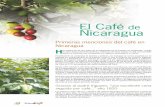 El Café Nicaragua · promueven el café ecológico y dedican parte de sus ingresos a servicios sociales y a la promoción de prácticas ambientales sostenibles. El consumo de café