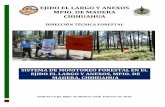 SISTEMA DE MONITOREO FORESTAL EN EL EJIDO EL LARGO Y ANEXOS, MPIO. DE …ejidoellargo.com.mx/Sistema_de_Monitoreo_Forestal.pdf · 2018-03-13 · 3 Sistema de Monitoreo Forestal en