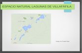 ESPACIO NATURAL LAGUNAS DE VILLAFÁFILA · PRESENTACIÓN La "Reserva Natural de Lagunas de Villafáfila", se encuentra enclavada en el noreste de la provincia de Zamora, dentro de
