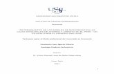 UNIVERSIDAD SAN IGNACIO DE LOYOLA FACULTAD DE …repositorio.usil.edu.pe/bitstream/USIL/2719/1/2017... · La modificación de las leyes de microfinanzas promulgadas a mediados de