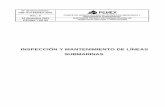 INSPECCIÓN Y MANTENIMIENTO DE LÍNEAS …legismex.mty.itesm.mx/normas/pemex/nrf-014-pemex-2001.pdfNo. de Documento NRF-014-PEMEX-2001 Rev.: 0 COMITÉ DE NORMALIZACIÓN DE PETRÓLEOS