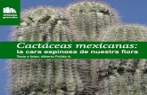 Cactáceas mexicanascan las plantas suculentas, en especial las cactáceas, por su belleza, por sus morfo-logías muy particulares y por la manera en que se adaptan y sobreviven en