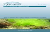 Revista de investigación y difusión sobre algascymbella.mx/img/numeros/V3/01/V3Num01.pdf · 2017-08-25 · CINTILLO LEGAL Cymbella Revista de investigación y difusión sobre algas.