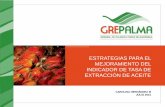 EXTRACCION DE ACEITE DE PALMA - ESTRATEGIAS PARA EL …propalma.webcindario.com/mejoramientotea.pdf · 2017-02-11 · •Afecta directamente el potencial de aceite en campo Fruit