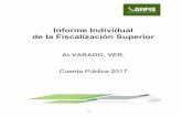Informe Individual de la Fiscalización Superior...7 ALVARADO, VER. INFORME INDIVIDUAL CUENTA PÚBLICA 2017 Normas Internacionales de Auditoría. Constitución Política del Estado