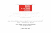 REPÚBLICA DEL ECUADORrepositorio.iaen.edu.ec/bitstream/24000/4950/1/TRABAJO DE... · 2019-06-25 · REPÚBLICA DEL ECUADOR INSTITUTO DE ALTOS ESTUDIOS NACIONALES UNIVERSIDAD DE POSGRADO