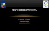 Neurosonografía fetal - CERPO · • Gran variación en la incidencia de ventriculomegalia en la literatura • Suele causar mucha ansiedad a los padres y justifica muchos procedimientos
