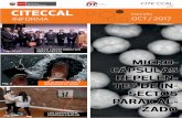 CITECCALciteccal.itp.gob.pe/wp-content/uploads/2016/11/BOLETIN... · 2017-12-07 · citeccal informa ediciÓn oct / 2017 nuevo comitÉ directivo para citeccal soluciÓn ecolÓgica