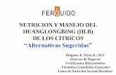 NUTRICION Y MANEJO DEL HUANGLONGBING (HLB) DE LOS CITRICOS “Alternativas …cedaf.org.do/huanglongbing/seminarios/nutricion_manejo/A... · 2016-07-06 · NUTRICION Y MANEJO DEL