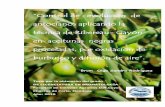 “Control de evolución de · Fuente: Dirección de Industria Alimentaria Fig. 2: Provincias olivícolas Las campañas 2004/2005 alcanzaron una producción de 85000-90000 toneladas
